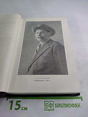 Собрание сочинений М. Горького. Том 24: Статьи, речи, приветствия. 1907-1928
