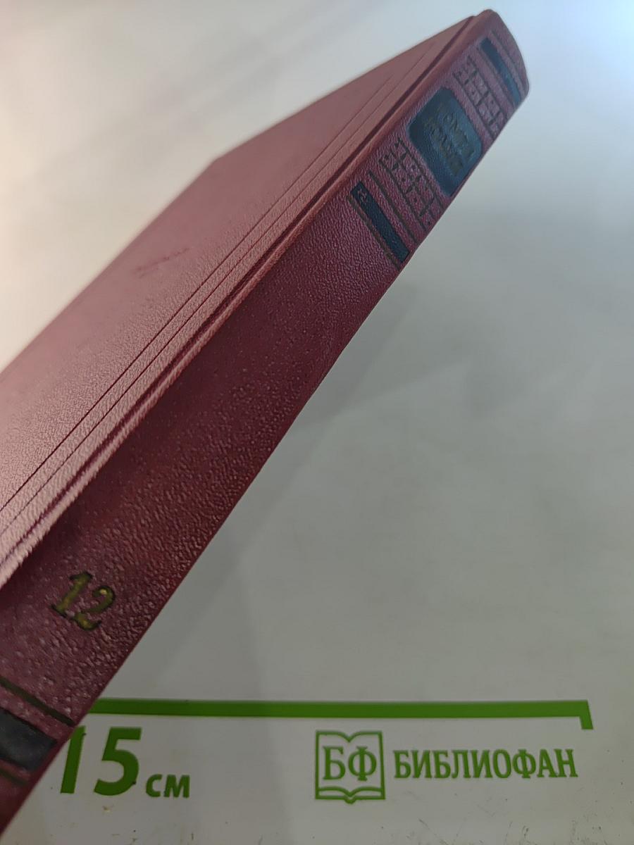 Собрание сочинений. Том двенадцатый: Бетховен. Великие творческие эпохи. Незавершенный собор