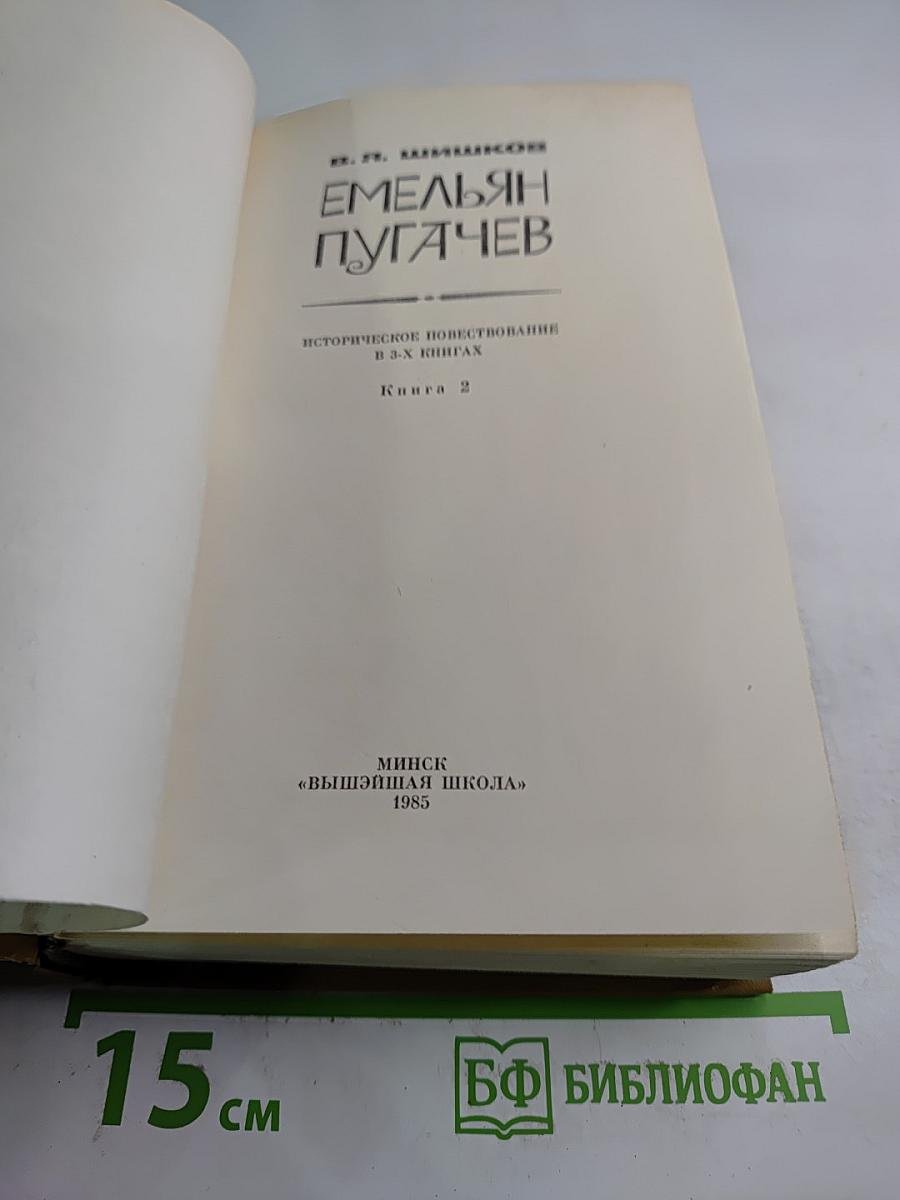 Емельян Пугачев, Книга 2