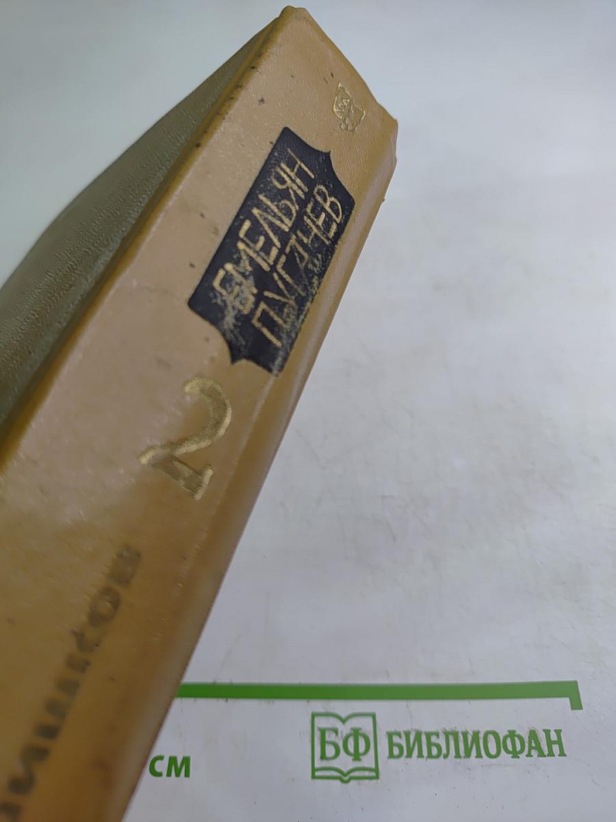 Емельян Пугачев, Книга 2