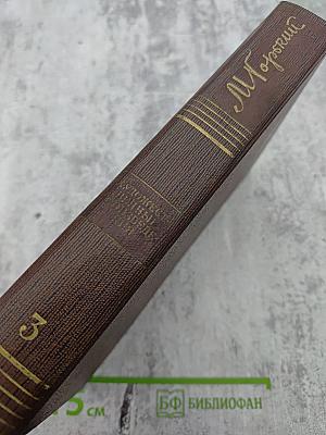 Полное собрание сочинений в десяти томах. Том третий: Рассказы, Очерки 1896-1897
