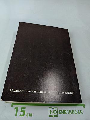 Пастырская помощь душевнобольным