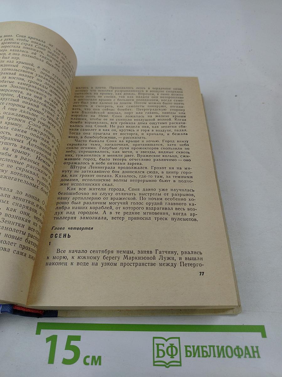 Балтийское небо