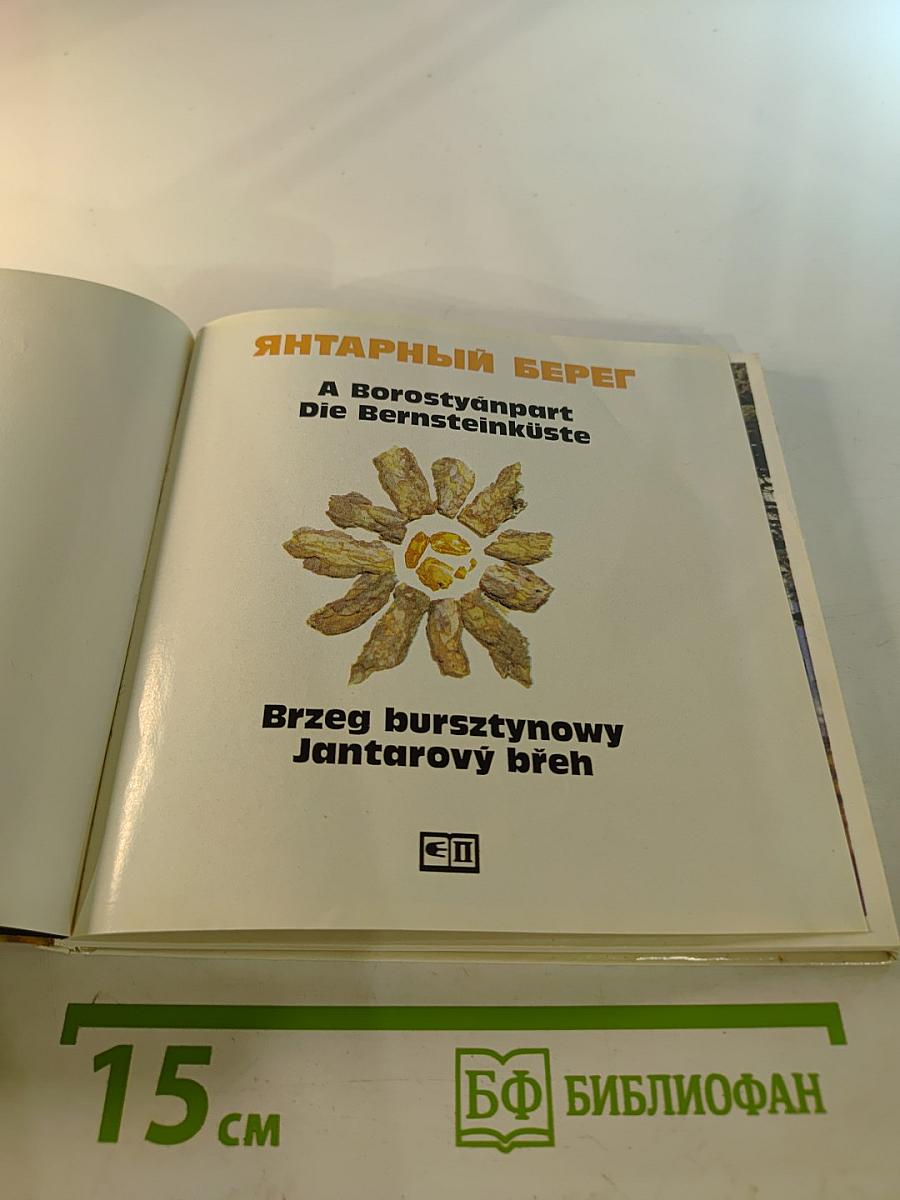 Янтарный берег