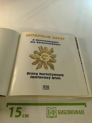 Янтарный берег