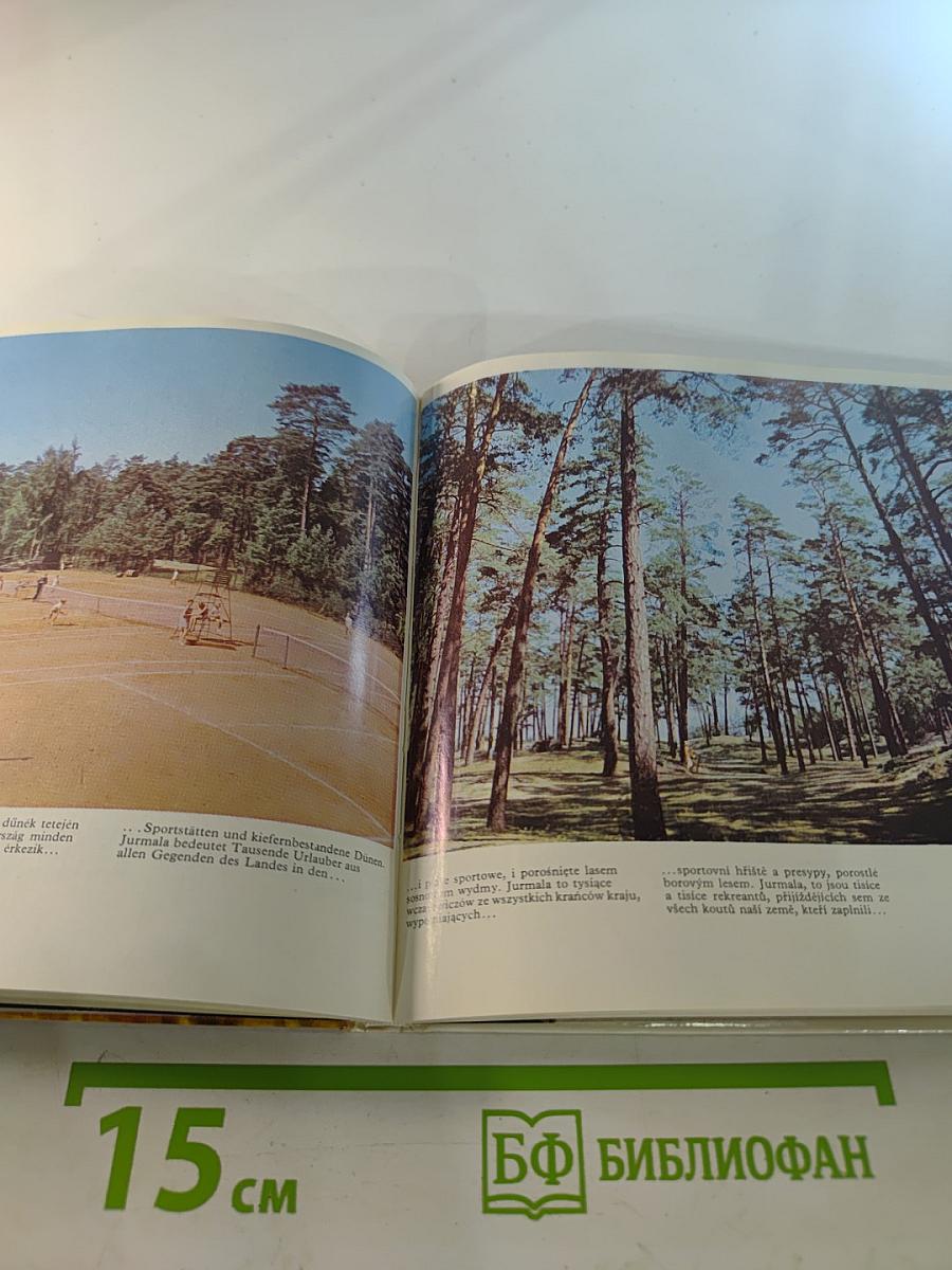 Янтарный берег