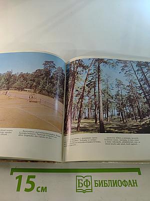 Янтарный берег