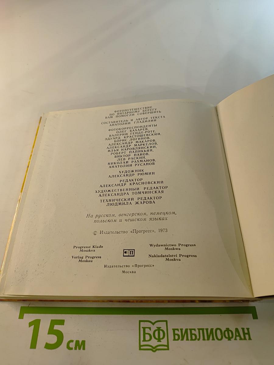 Янтарный берег