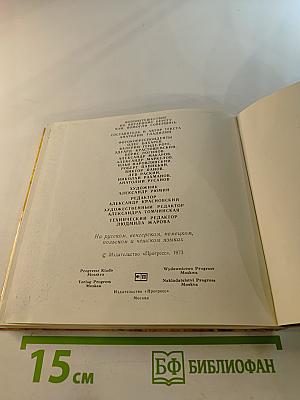 Янтарный берег