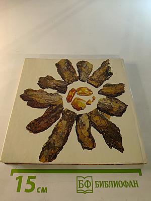 Янтарный берег