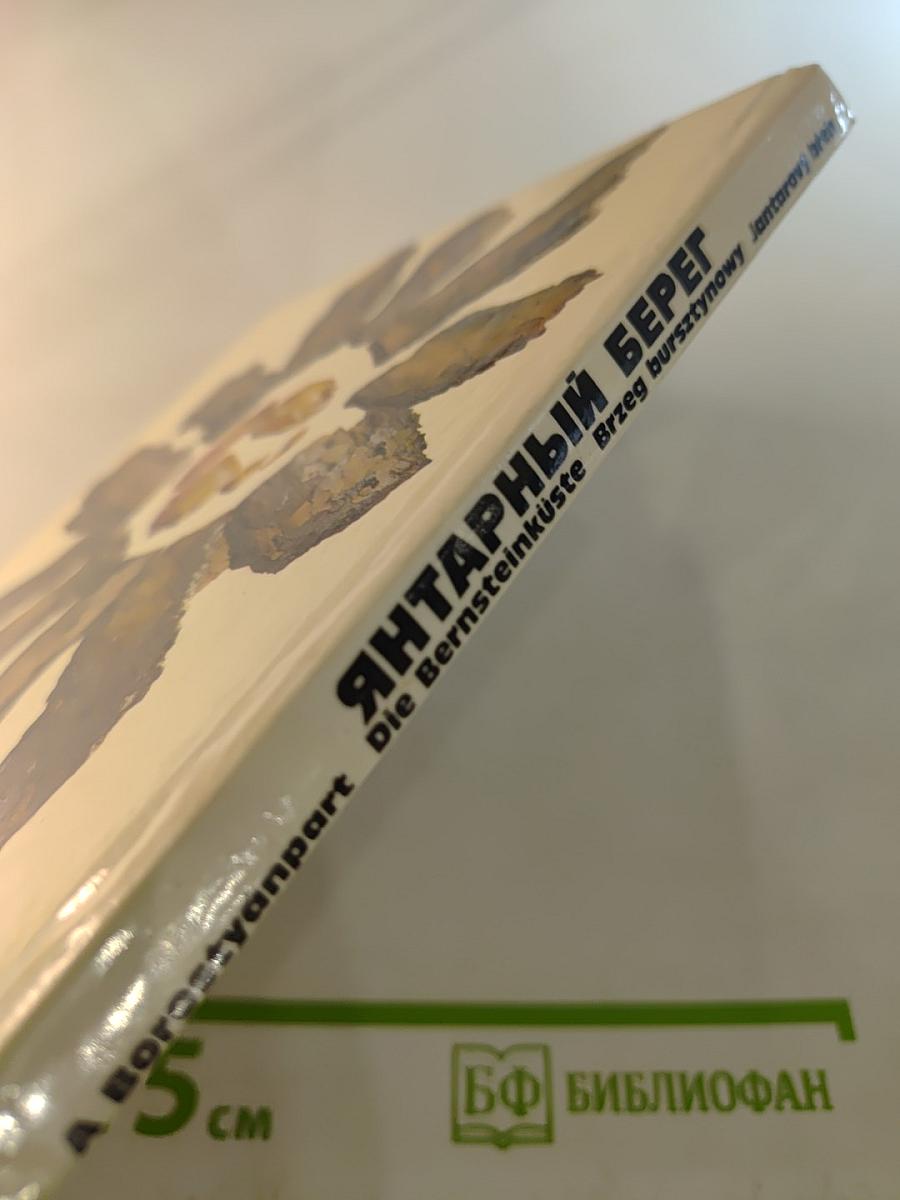 Янтарный берег