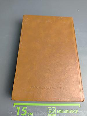 Плетение из ивового прута