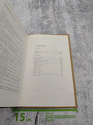 Избранные произведения в двух томах. Том 2. Повести и рассказы