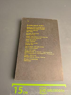 Детектив и политика