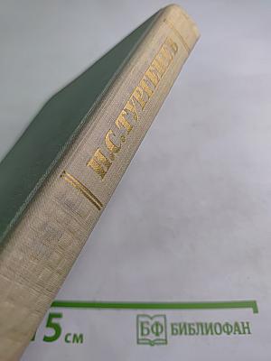 Собрание сочинений. Том четвертый. Дым. Новь