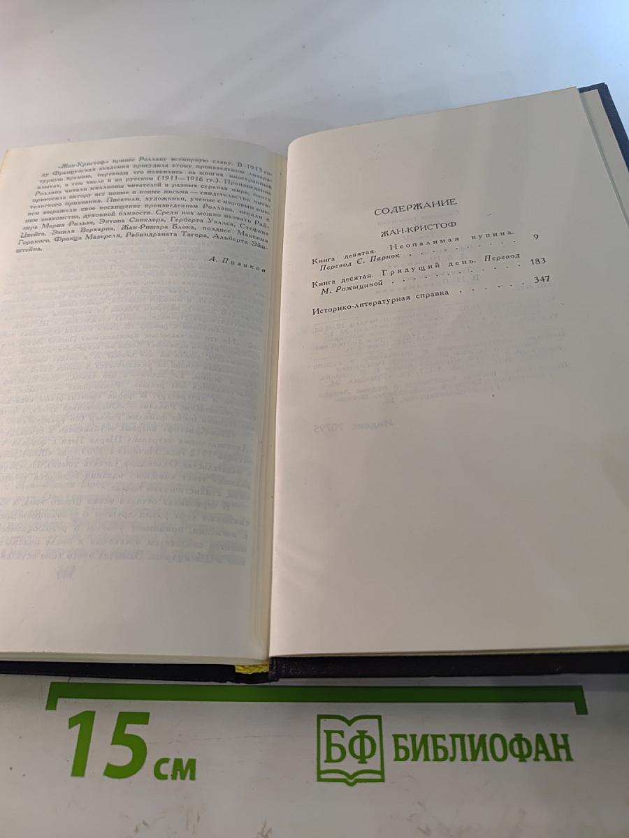 Жан-Кристоф. Том 4. Неопалимая купина. Грядущий день