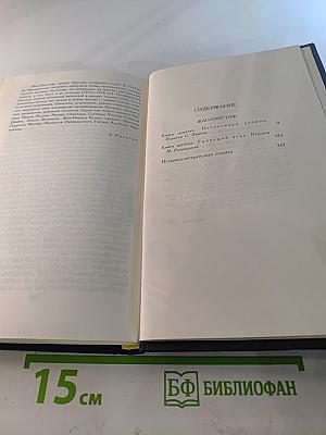 Жан-Кристоф. Том 4. Неопалимая купина. Грядущий день