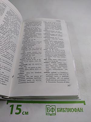 Краткий словарь трудностей русского языка. Грамматические формы. Ударение