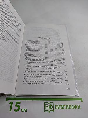 Краткий словарь трудностей русского языка. Грамматические формы. Ударение