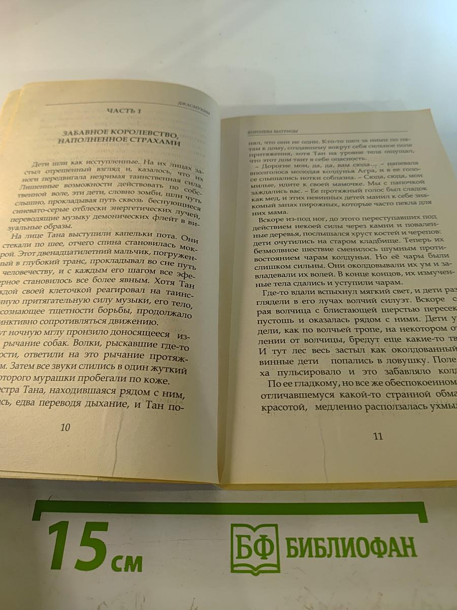 Королева Матрицы. Настройщики полей. Книга 1