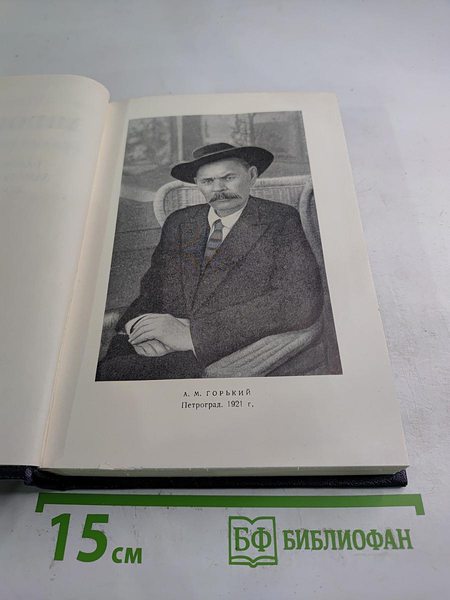 Рассказы, очерки, заметки из дневника, воспоминания. 1921-1924. Том 15