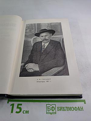 Рассказы, очерки, заметки из дневника, воспоминания. 1921-1924. Том 15