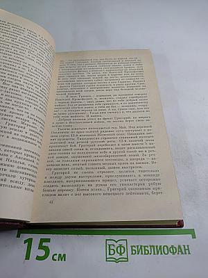 Тихий Дон. Роман в четырех книгах. Том 2