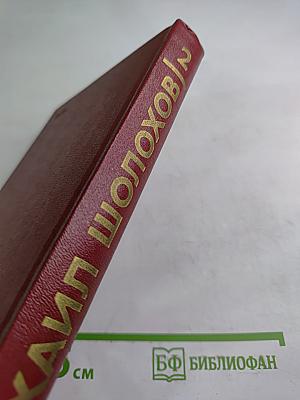 Тихий Дон. Роман в четырех книгах. Том 2