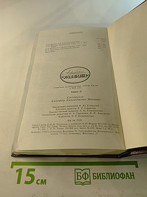 Алексеевский равелин. Секретная государственная тюрьма России в XIX веке. Книга II