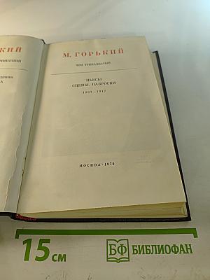 Пьесы. Сцены. Наброски 1907-1917 (Том тринадцатый)