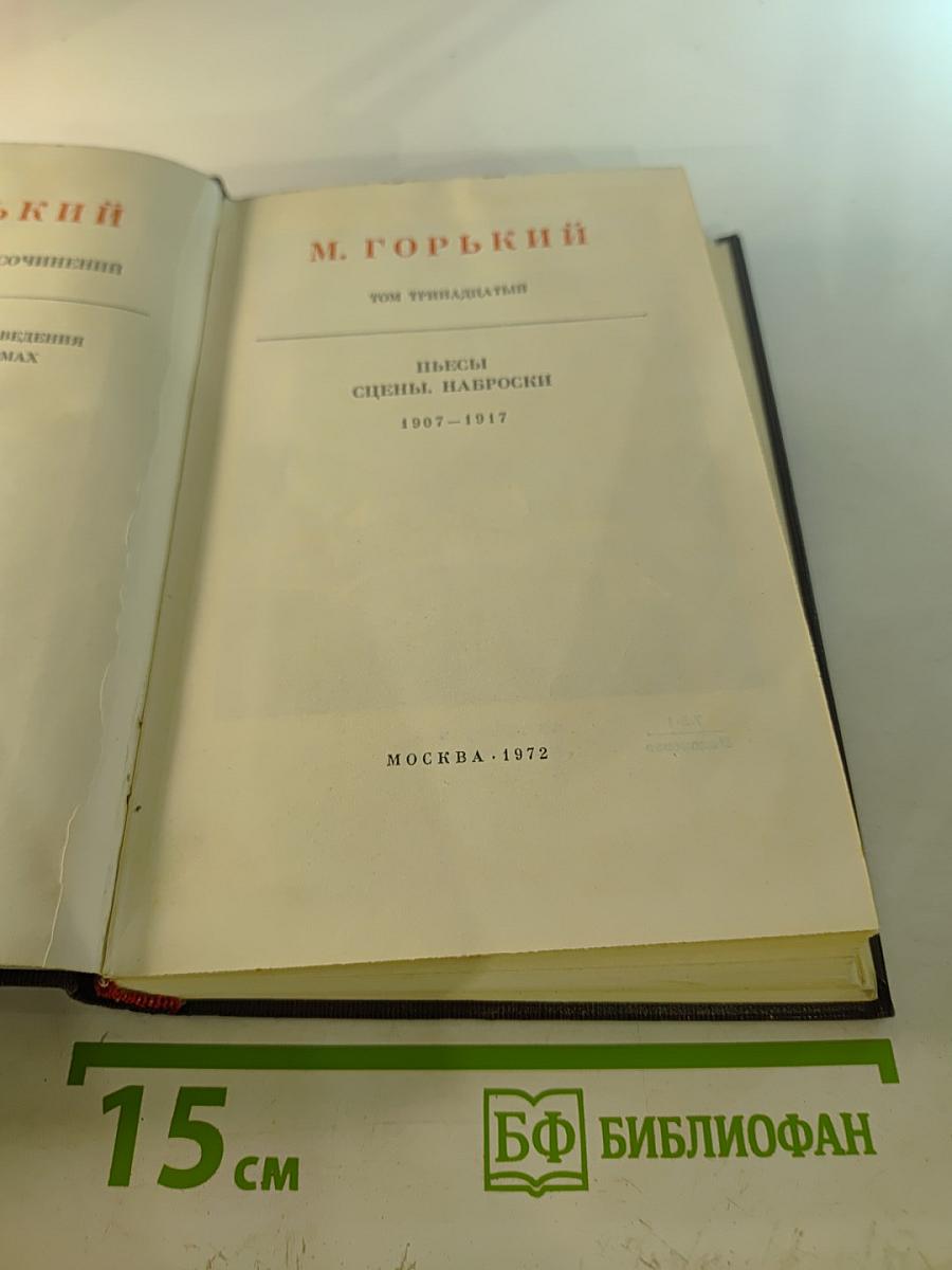 Пьесы. Сцены. Наброски 1907-1917 (Том тринадцатый)