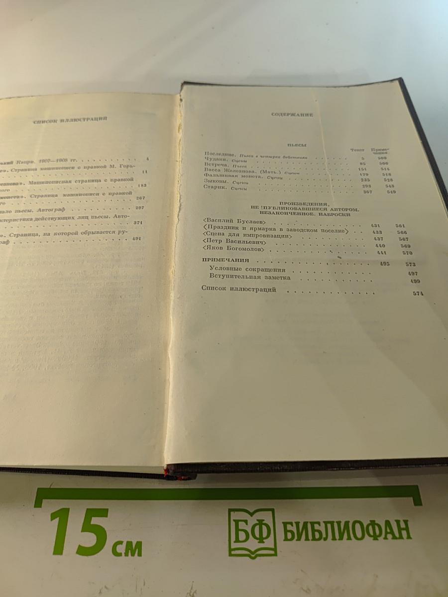 Пьесы. Сцены. Наброски 1907-1917 (Том тринадцатый)