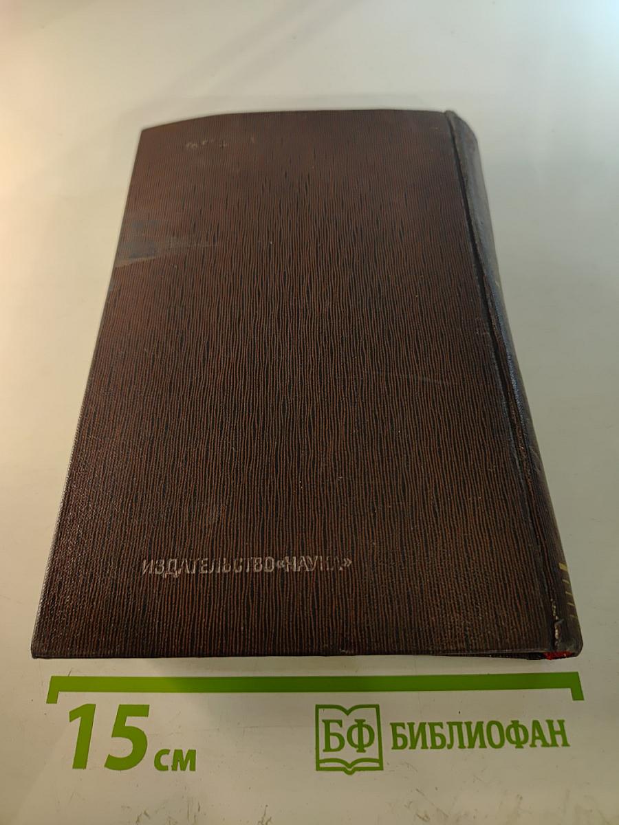 Пьесы. Сцены. Наброски 1907-1917 (Том тринадцатый)