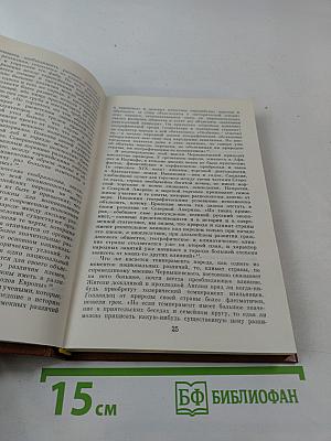 Н.Г. Чернышевский в общественной мысли народов СССР