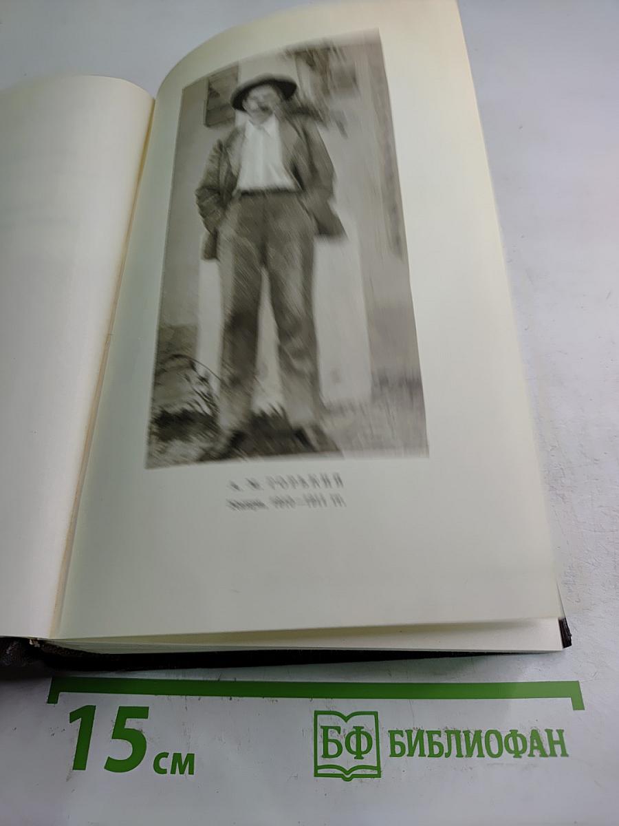 Собрание сочинений. Том десятый