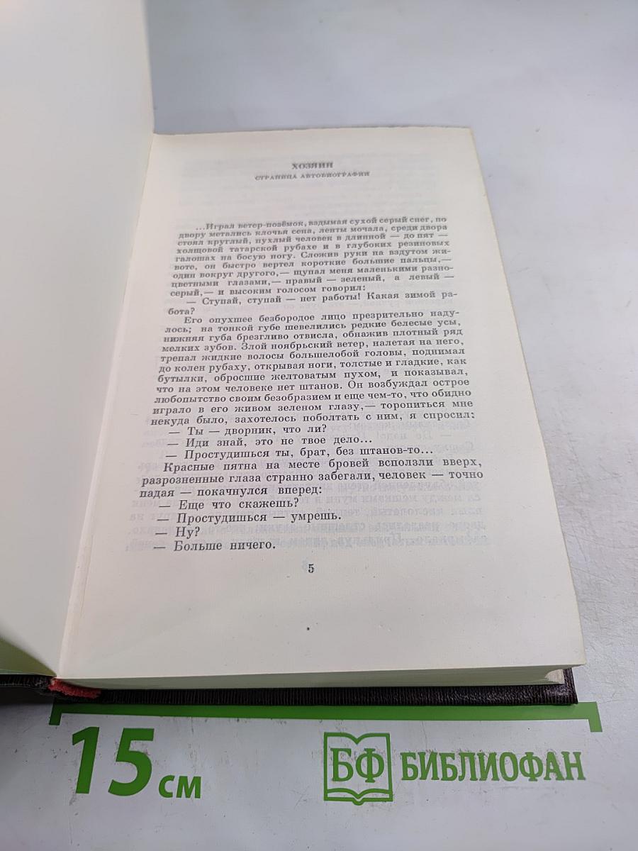 Художественные произведения. Том четырнадцатый: Повесть, Рассказы 1912-1917