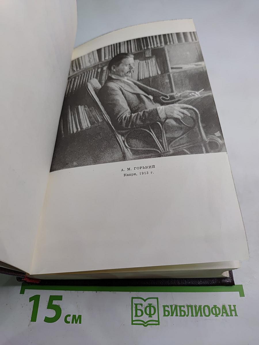 Художественные произведения. Том четырнадцатый: Повесть, Рассказы 1912-1917