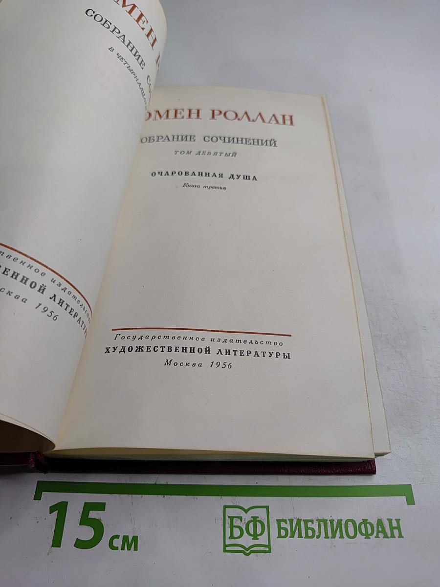 Очарованная душа. Книга третья: Мать. Том девятый