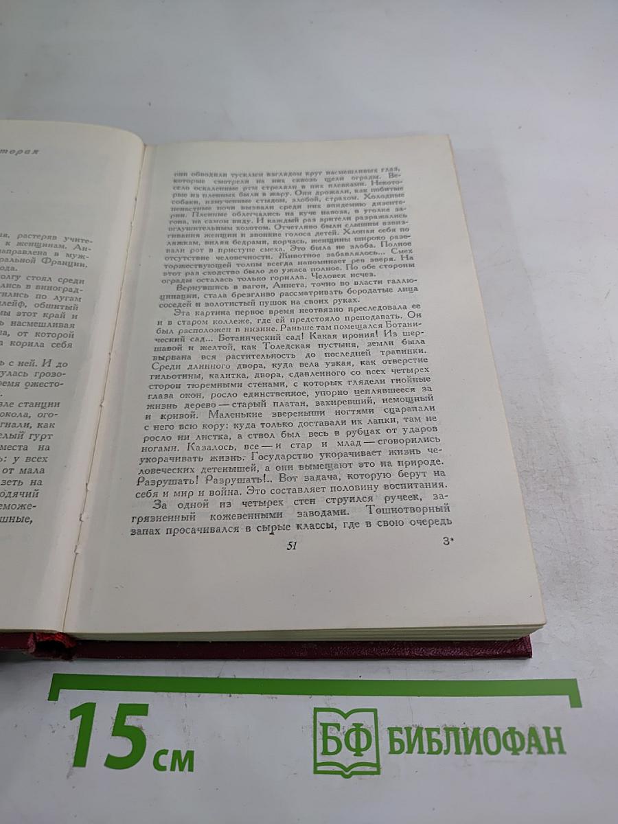 Очарованная душа. Книга третья: Мать. Том девятый
