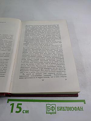 Очарованная душа. Книга третья: Мать. Том девятый