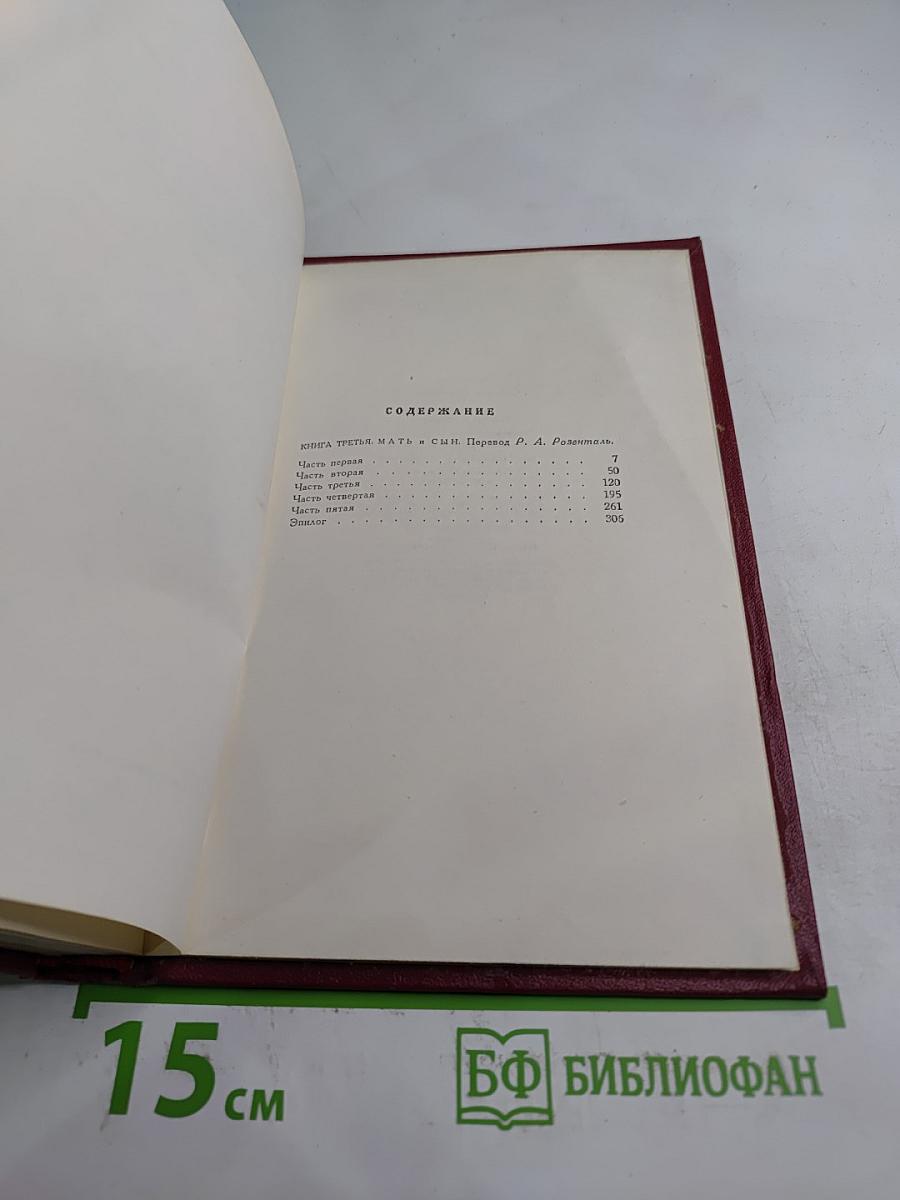 Очарованная душа. Книга третья: Мать. Том девятый