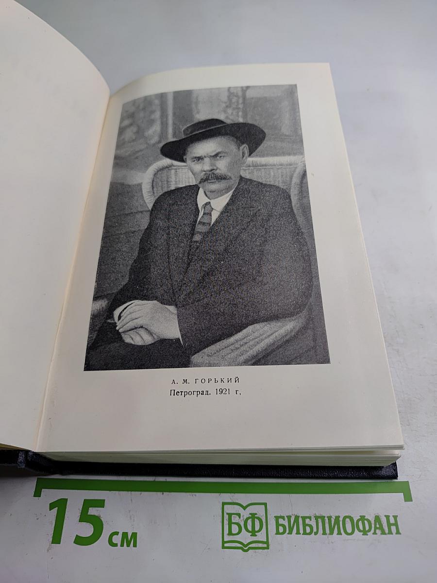 Рассказы, очерки, заметки из дневника воспоминания. 1921-1924. Том 15