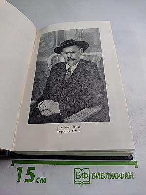 Рассказы, очерки, заметки из дневника воспоминания. 1921-1924. Том 15