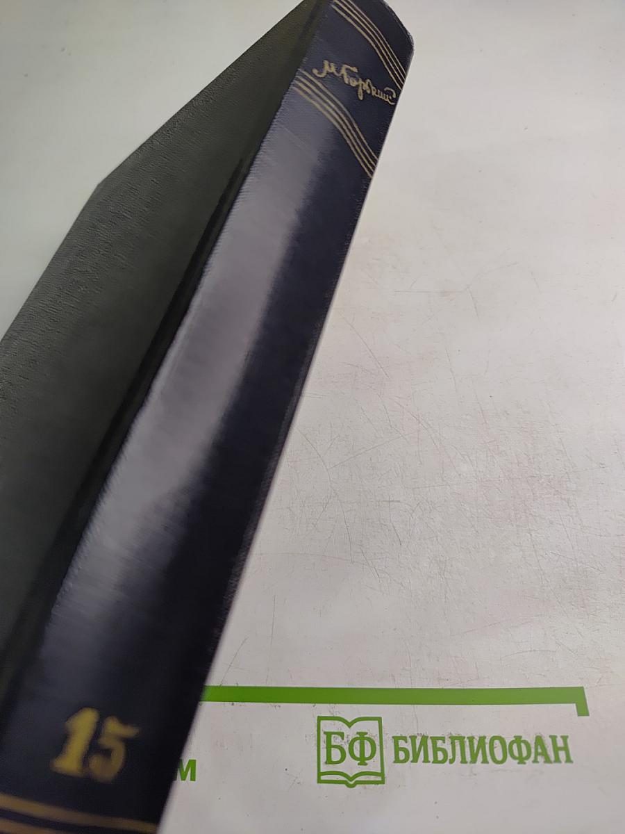 Рассказы, очерки, заметки из дневника воспоминания. 1921-1924. Том 15