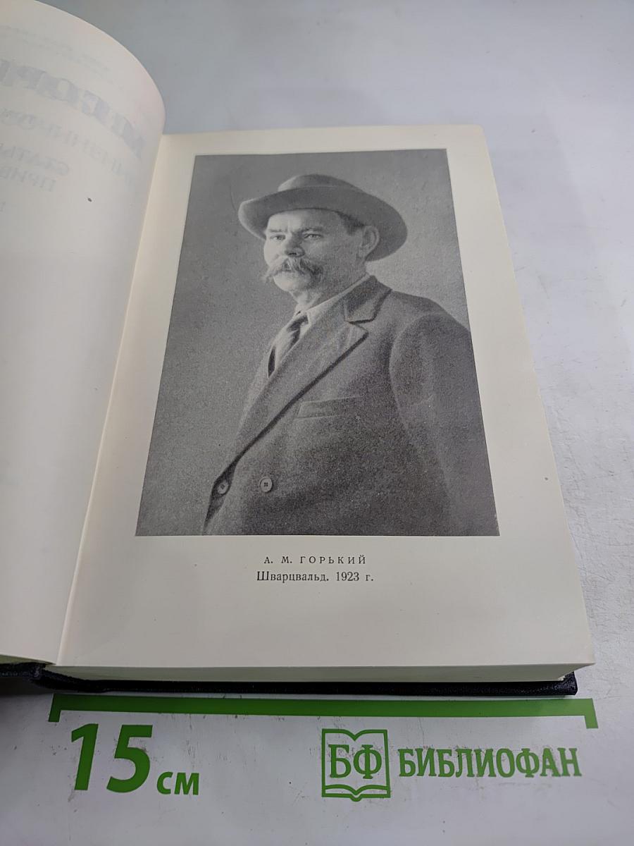 Статьи, речи, приветствия. 1907-1928. Том 24