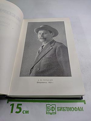 Статьи, речи, приветствия. 1907-1928. Том 24