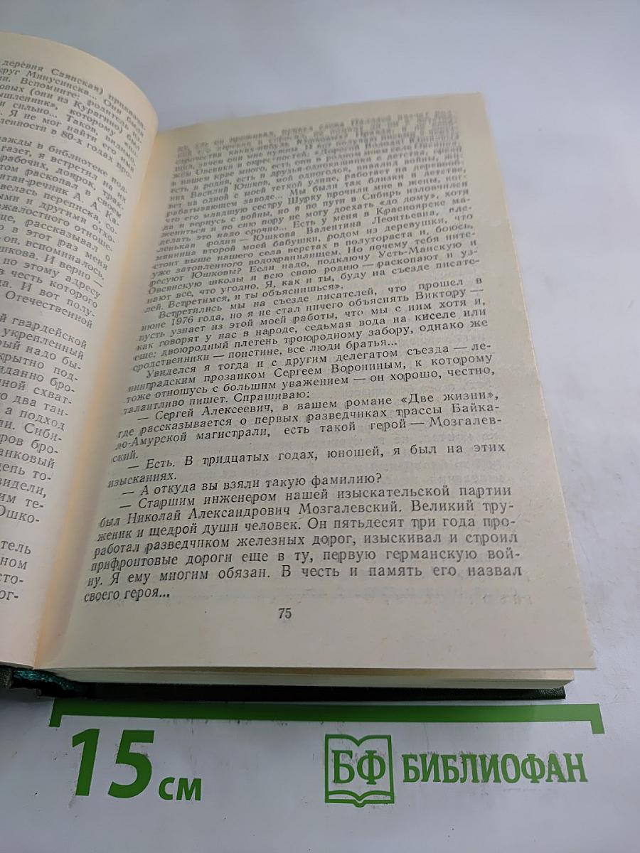 Память. Роман-эссе. Книга вторая
