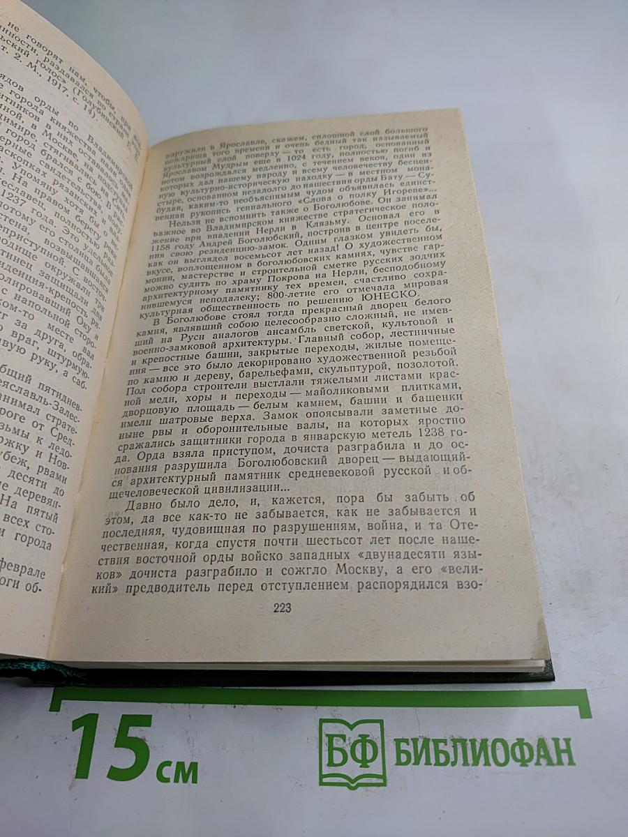 Память. Роман-эссе. Книга вторая