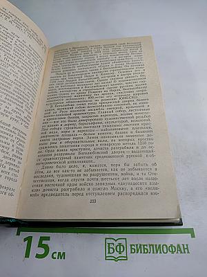 Память. Роман-эссе. Книга вторая