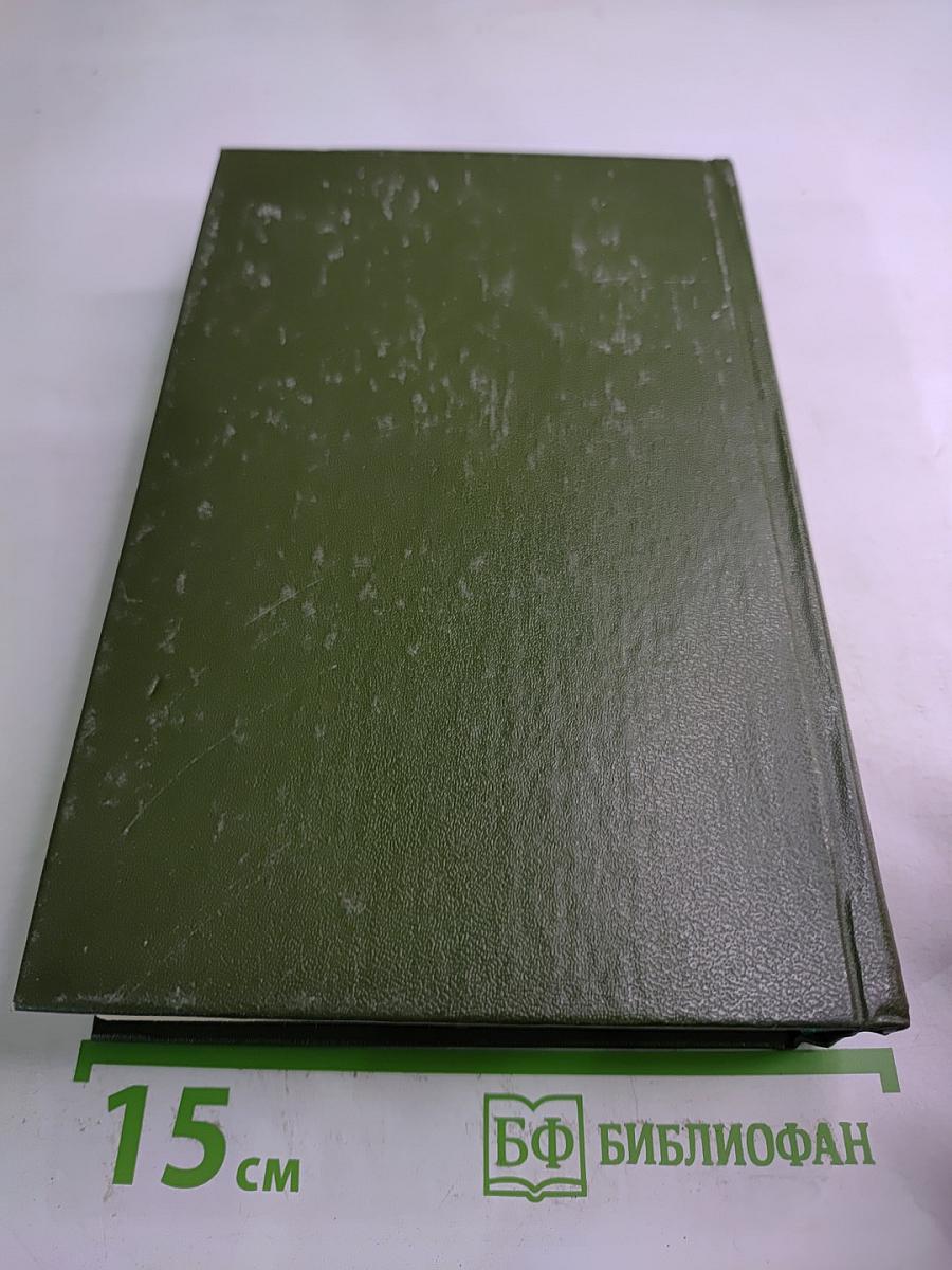 Память. Роман-эссе. Книга вторая